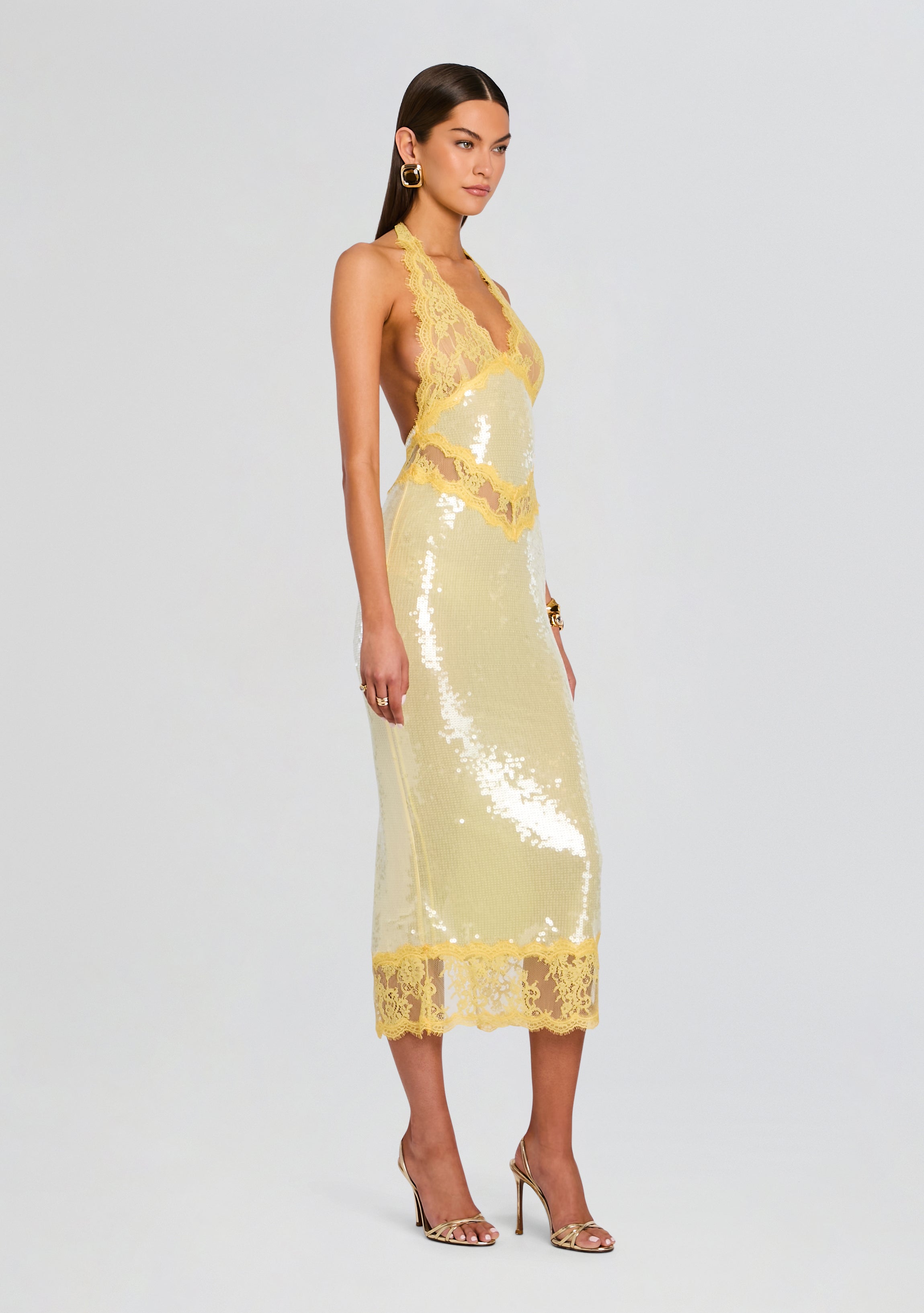 Vicky Sequin Lace Dress