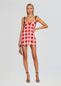Shantie Mini Dress
