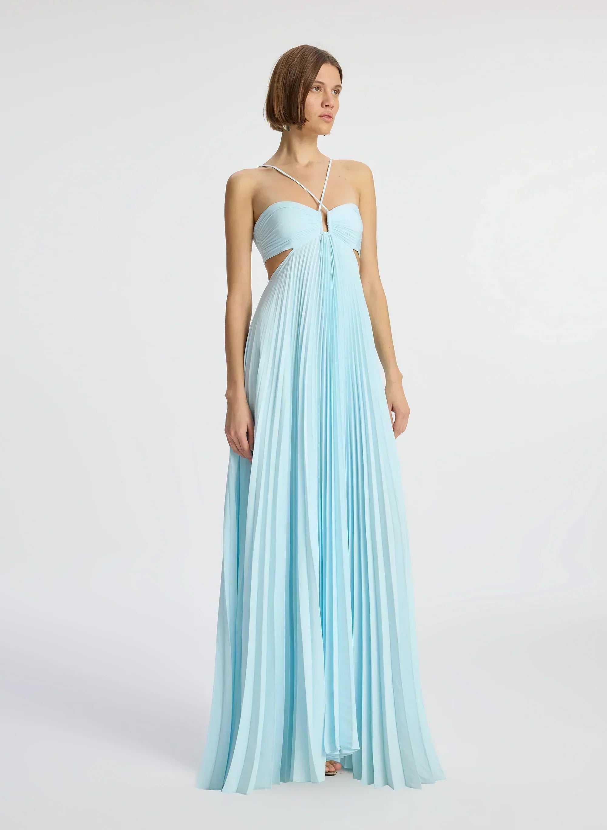Moira Matte Pleated Dress
