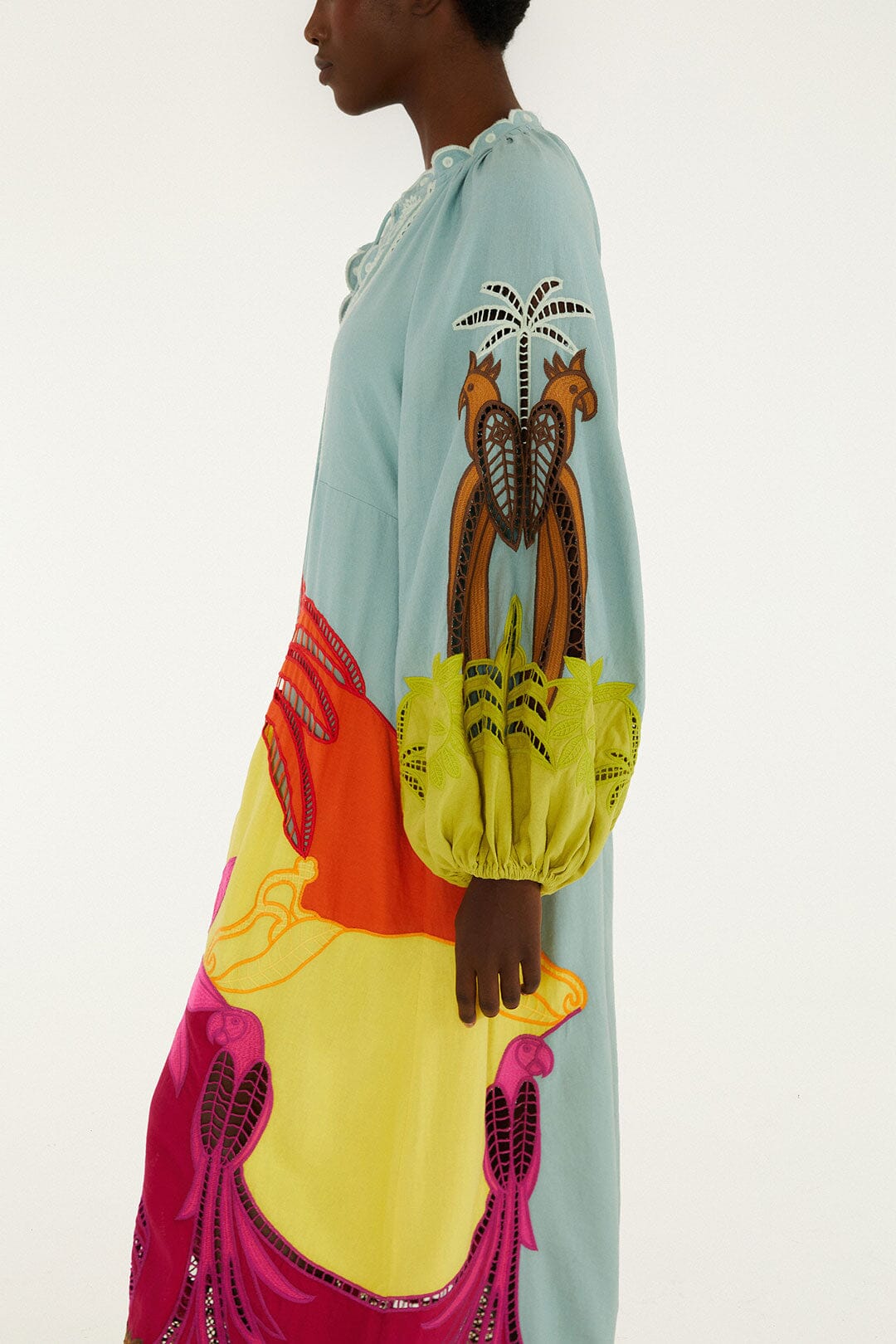 Multicolor Usiacuri Embroidered Richelieu Maxi Dress