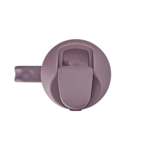 Owala Spring Revival Color of the Season FreeSip® Tumbler