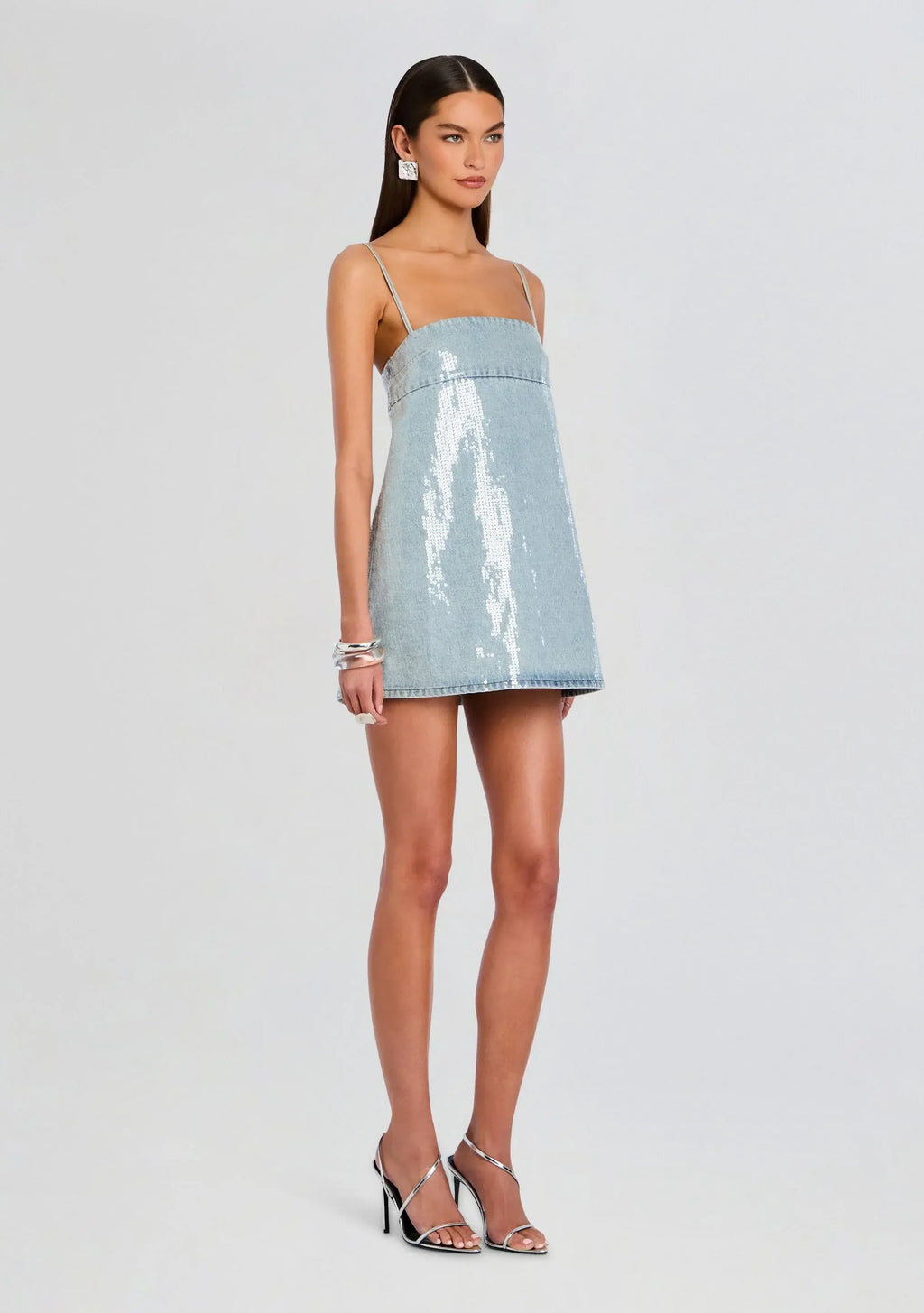 Nadiya Denim Dress