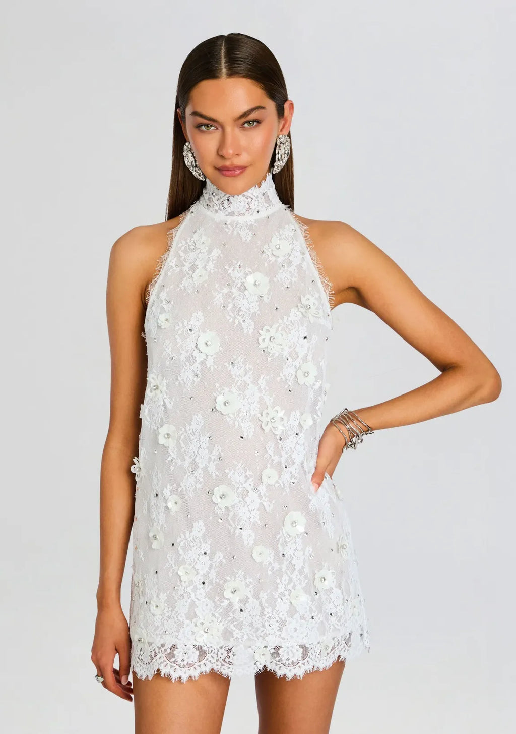 Banks Lace Embellished Dress