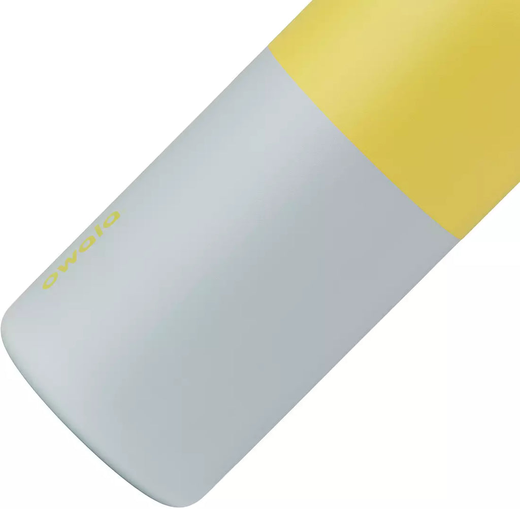 Owala 32 oz. FreeSip Stainless Steel Water Bottle Sun And Sea