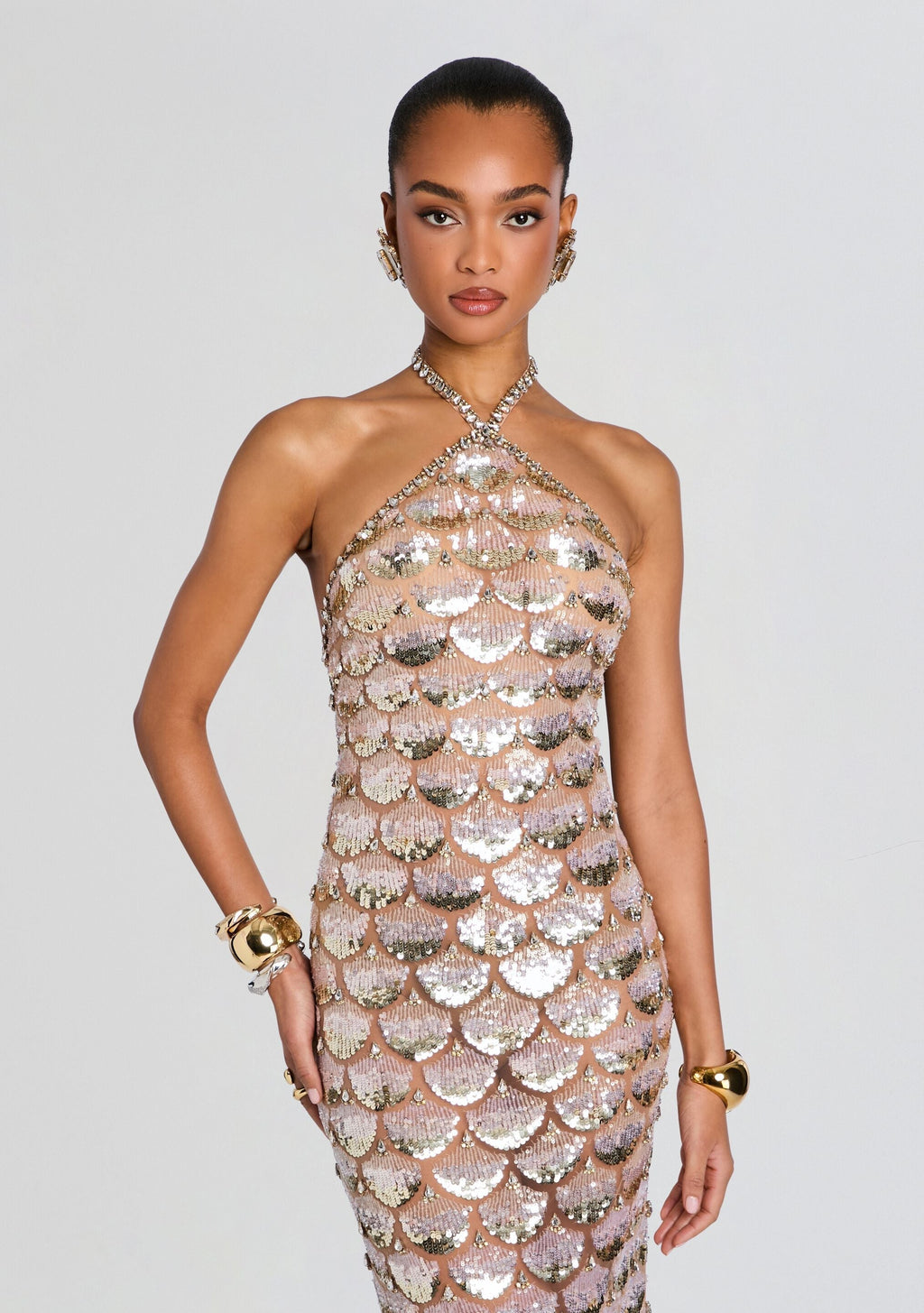 Genovia Embroidered Dress
