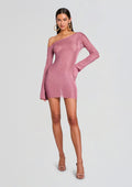 Saddler Metallic Knit Mini Dress
