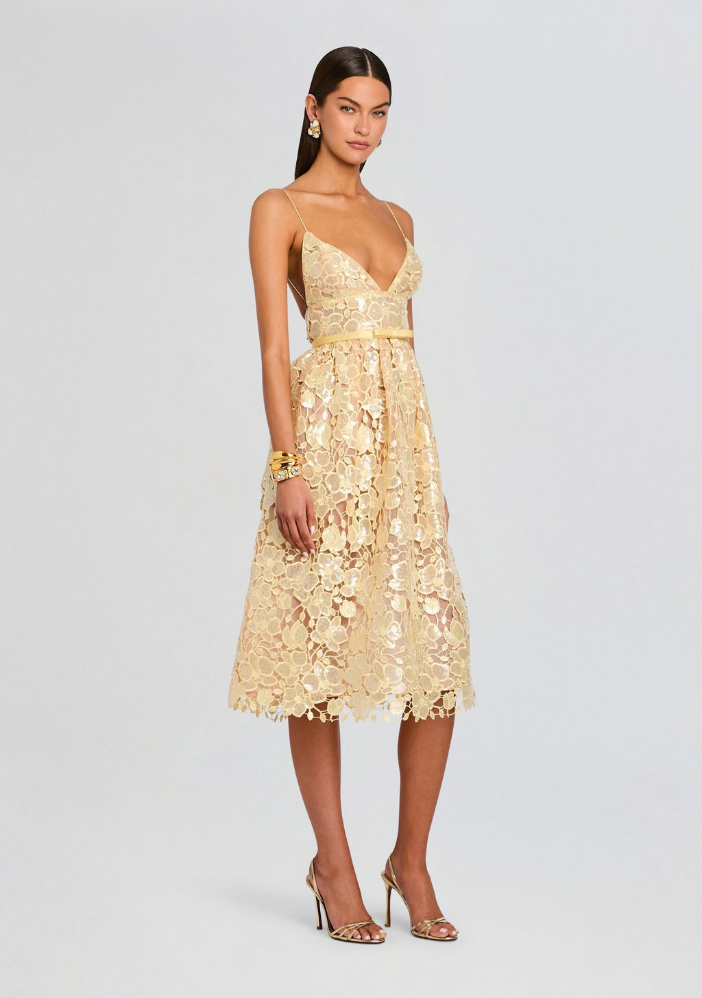 Eulalia Sequin Lace Dress