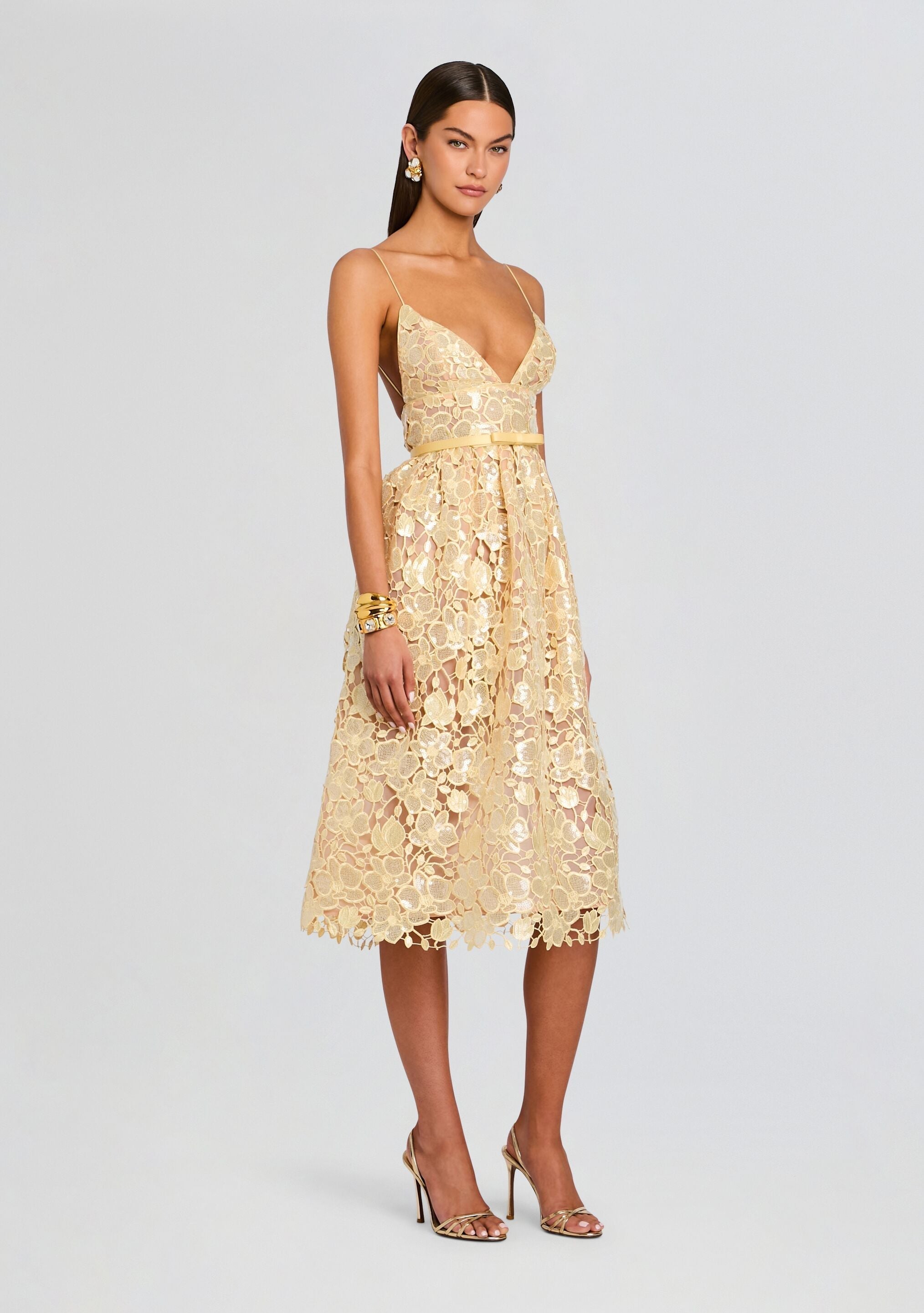Eulalia Sequin Lace Dress