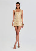 Elainy Sequin Lace Dress