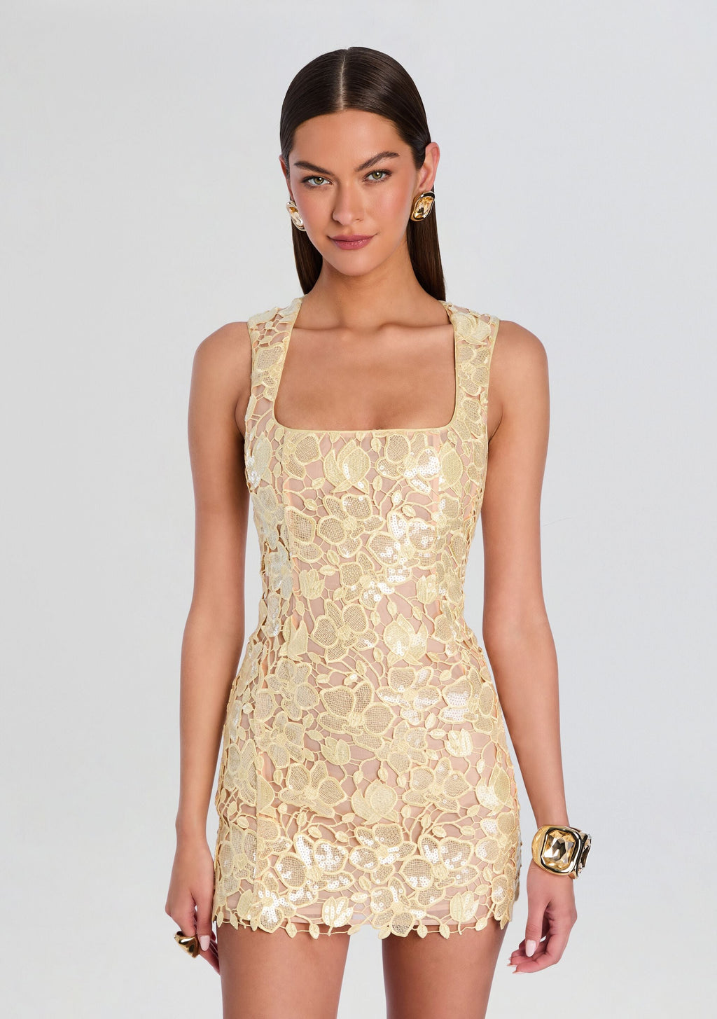 Elainy Sequin Lace Dress