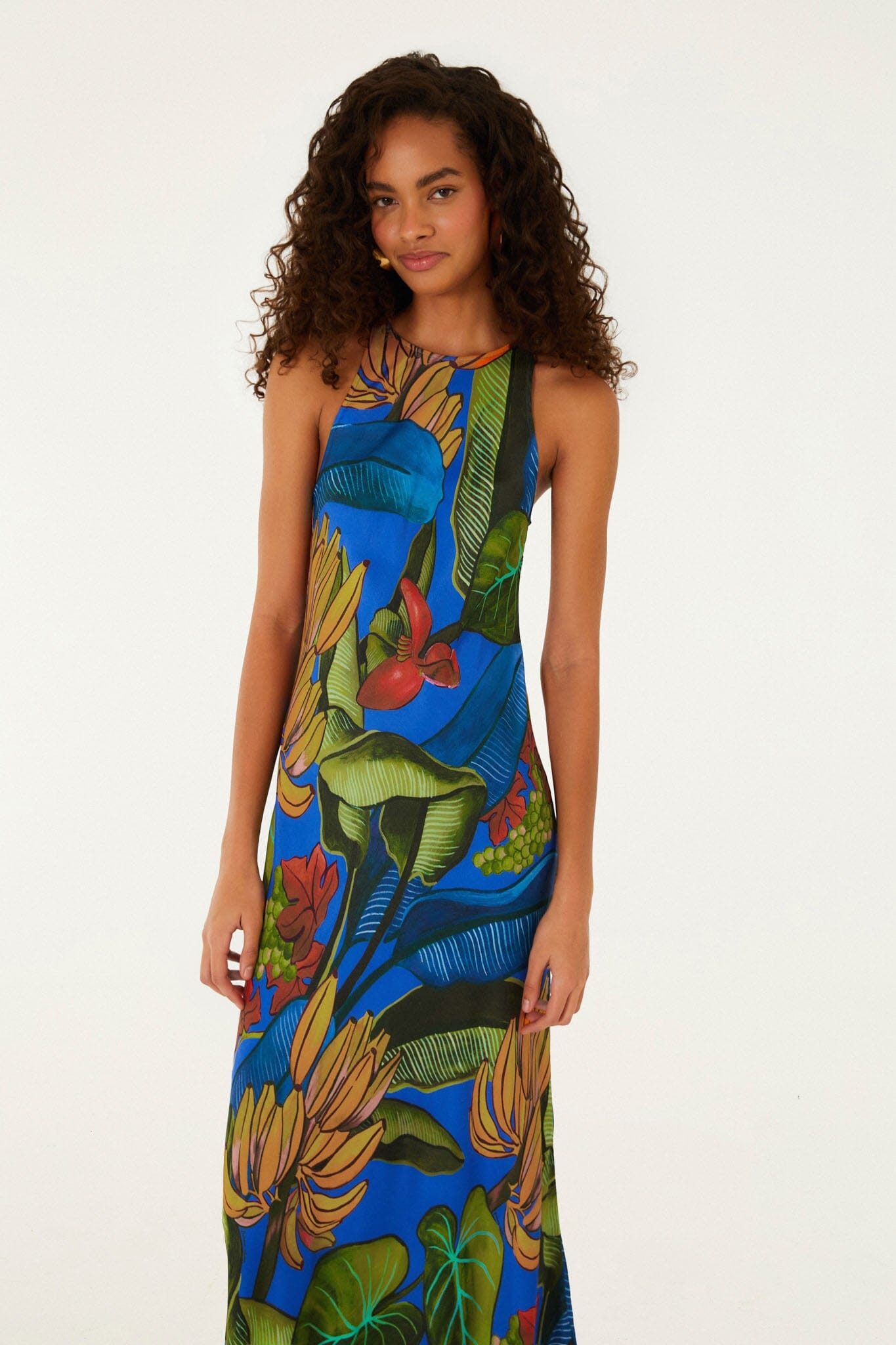 Blue Banana Grapes Sleeveless Maxi Dress